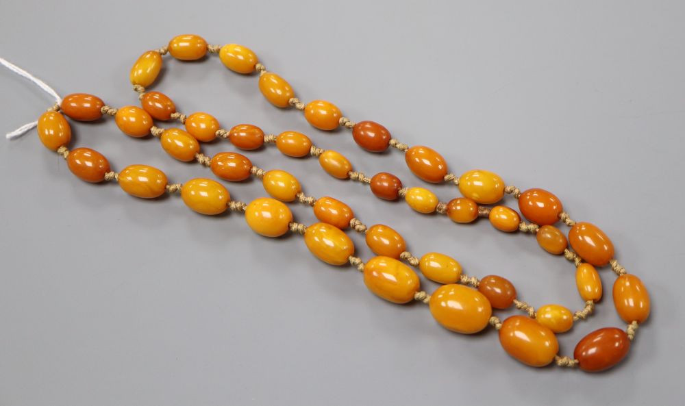 A single strand graduated oval amber bead necklace, 84cm, gross 40 grams.